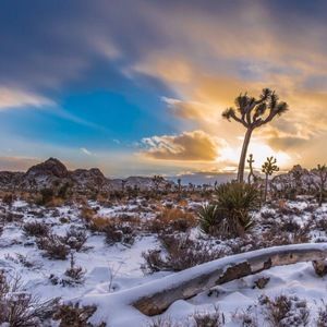 Meet your Posher, Karina